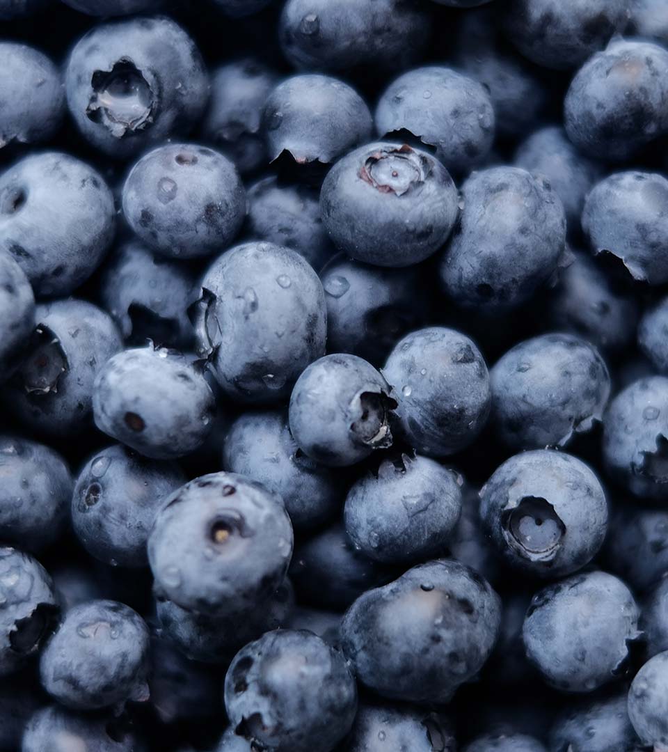 blueberries