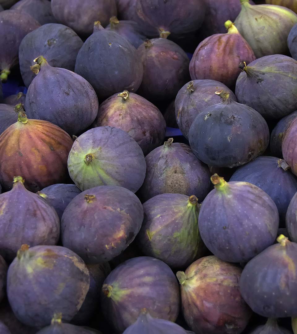 figs