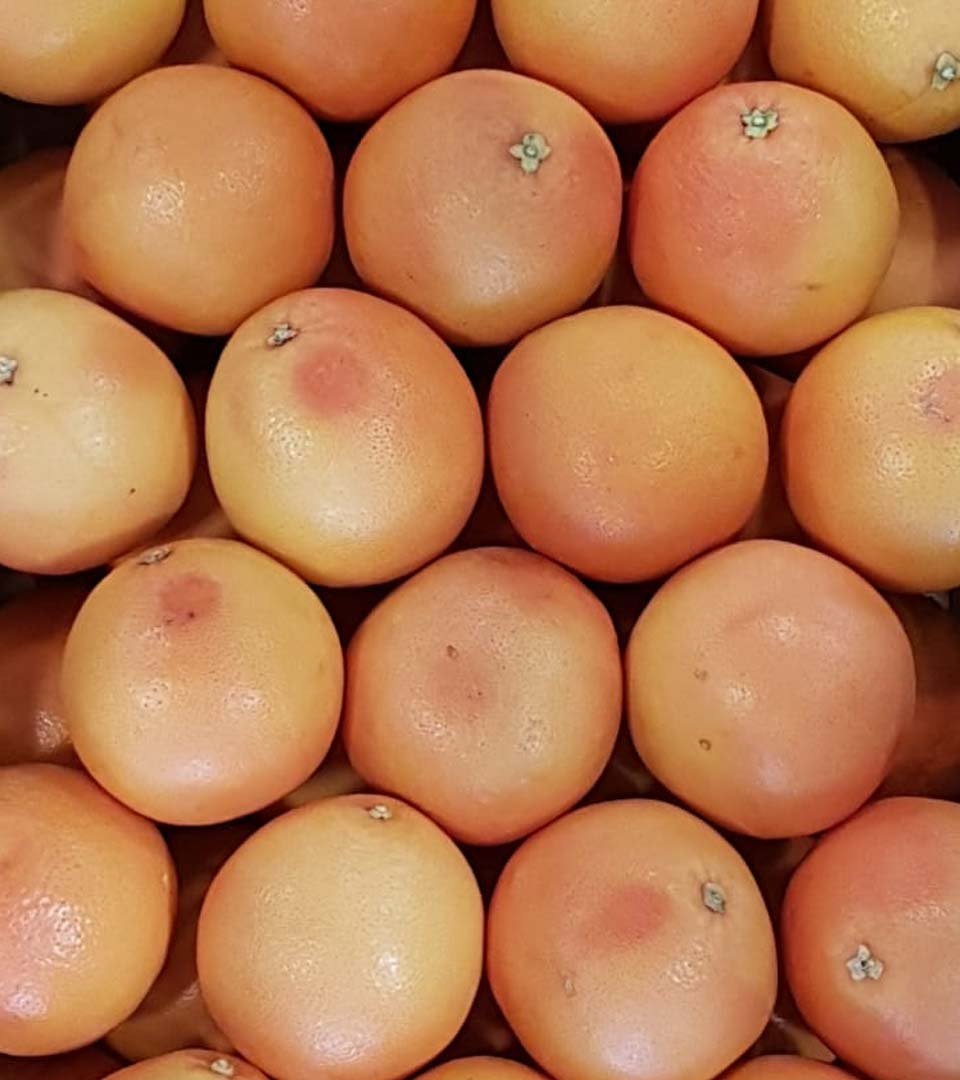 grapefruits